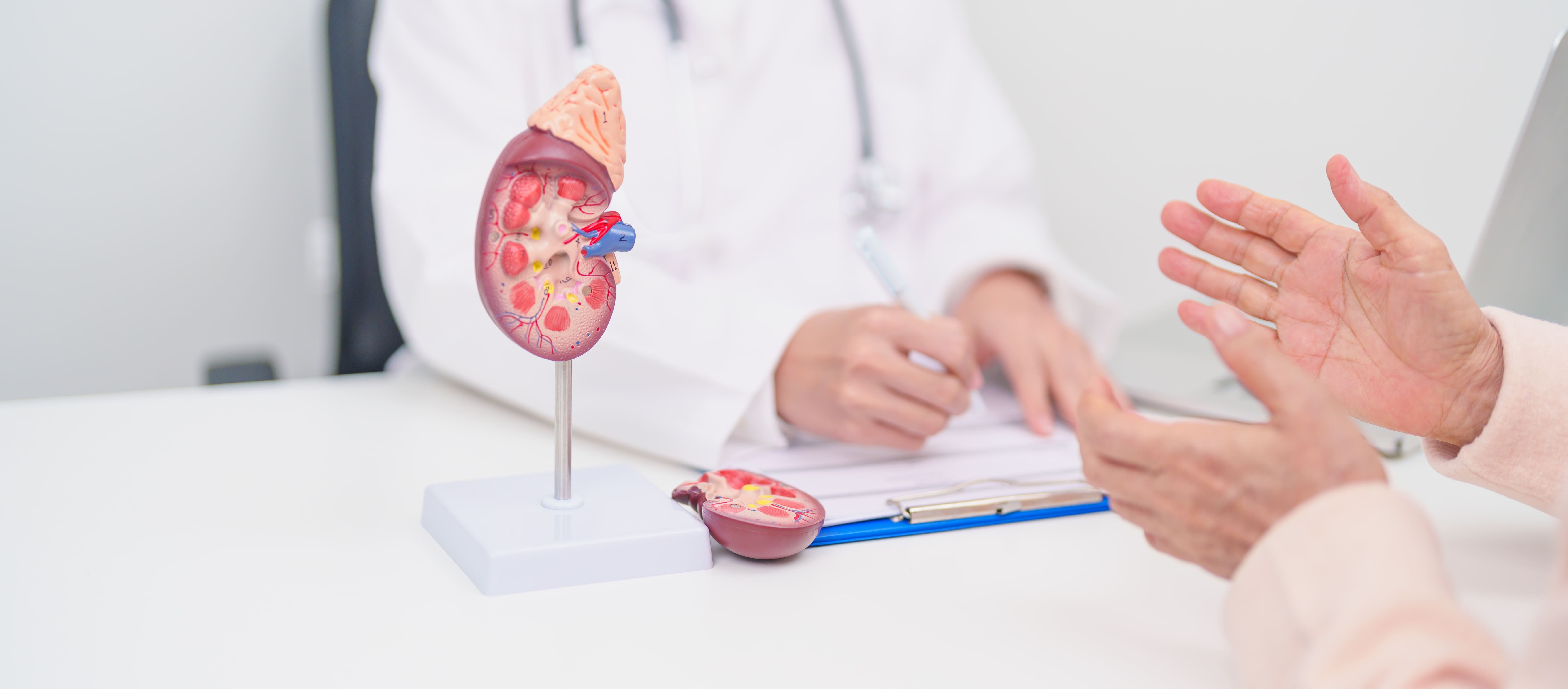 Management of Renal Stones